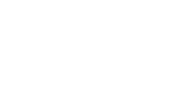 Dunlop