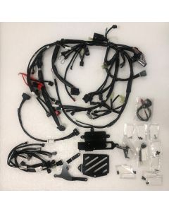 WIRE HARNESS SET for 2020 YZF-R1